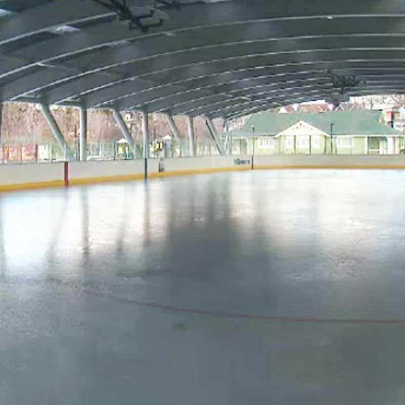 Ice Rink and Hockey Field- Greenwood